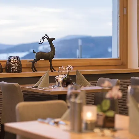 호텔 Thula Wellnesshotel Bayerischer Wald